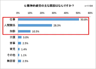 精神的疲労の主な原因はなんですか？