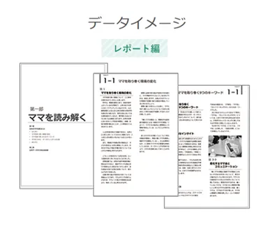 データイメージ　レポート編