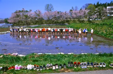 「ごたっ子の田んぼ」より《足でしろかき》1998年　西村 豊 (C)Yutaka Nishimura