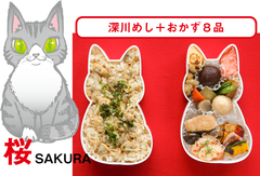 福ねこ弁当：桜(さくら)