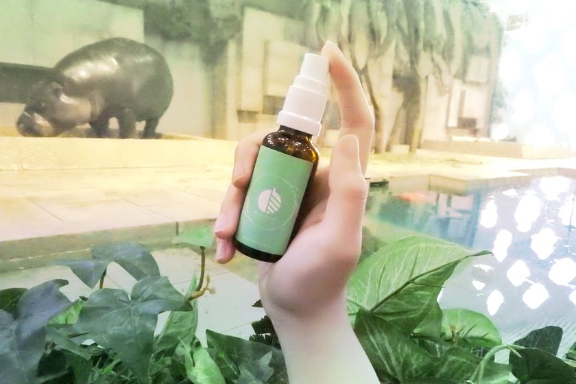 ～自然の香り“にふれる”～
ニフレルで開催！
自分だけのアロマミストを作るワークショップ