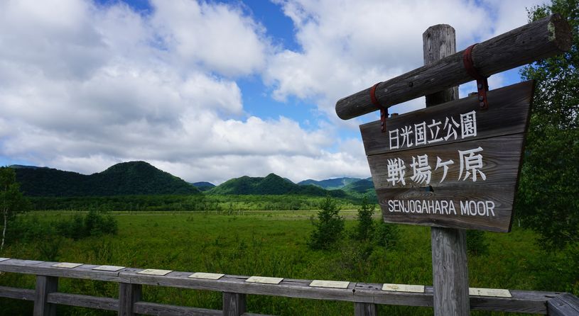 本州最大の高層湿原 尾瀬 と人気のハイクコース 戦場ヶ原 を歩くいいとこどりハイクツアー 一般財団法人休暇村協会のプレスリリース
