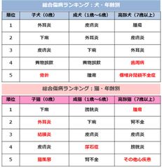 データ４