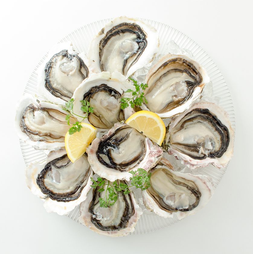 初夏の真牡蠣・岩牡蠣全品半額！安心の「ミネラルオイスター」が
楽しめる！『生牡蠣半額祭』