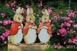 ピーターラビット（TM）とバラの世界（イメージ）