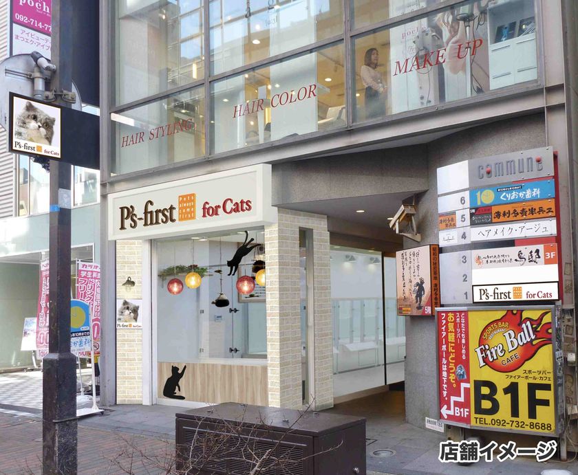 「子猫」専門のペットショップが福岡天神に登場　
ペッツファースト for Cats 福岡天神店 5月18日オープン