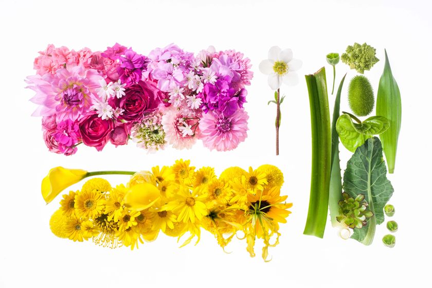 日本初の本格フラワーデザインスクール　
作品総数300点以上のフラワーデザイン展　
松屋銀座にて5月25日～30日開催