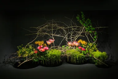 マミ 川崎作品(前回)