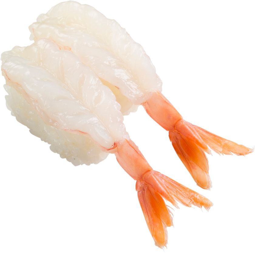 スシローが世界中から至極のネタをお届けする
「世界の海からいいネタ100円PROJECT」
『天然生えび』 100円（＋税）
＜本日より全国のスシローにて期間限定販売！＞