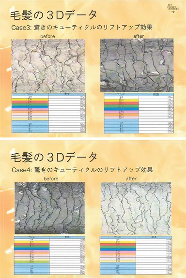 毛量の3Dデータ