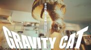 「GRAVITY CAT / 重力的眩暈子猫編」
