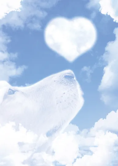 ペットの想い出イメージ