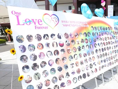 会場で飾られるペット写真