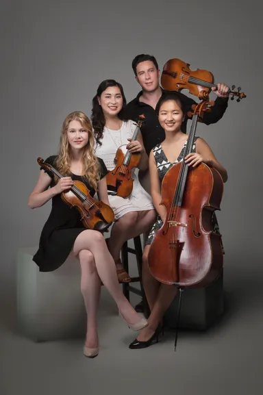 ユリシーズ弦楽四重奏団(1)