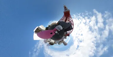 駐車場から撮影した様子