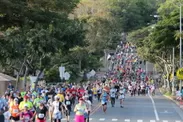 (c)2017ADK/Honolulu Marathon 毎年約3万人のランナーが参加