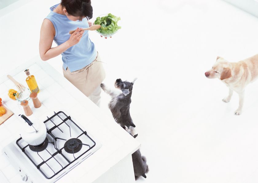 2017年4月「都市ガス小売りの全面自由化」開始
切り替え意向者は約2割
メリット訴求が切り替え推進のポイントか