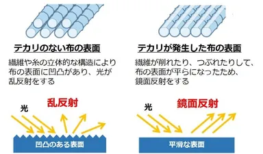 図2：テカリのメカニズム