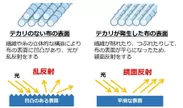 図2：テカリのメカニズム