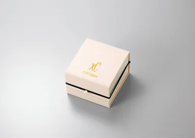 オリジナル限定BOX