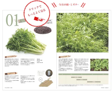 タブロイド見本その(2)