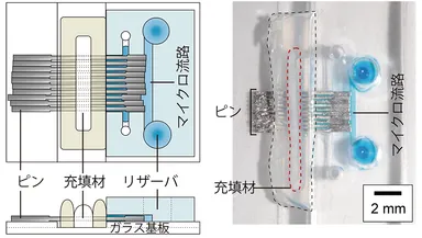 実証実験用プロトタイプマイクロ流体デバイス