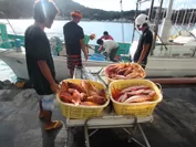 漁業就業体験の様子 2