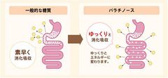 スローカロリーとは(図)