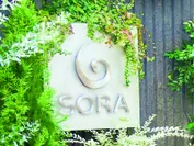SORA表参道本店：緑が多く居心地の良いショップと人気
