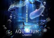瀬戸内海よりも深い！ネイキッドがつくる、見たことのない「光の深海」登場　7月29日～8月29日広島・NTTクレドホールにて「AQUARIUM by NAKED 広島」開催
