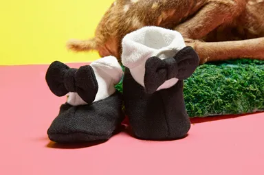 “TUXEDO”type(WHT×BLK) 3