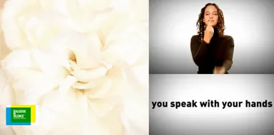 DIALOGUE IN SILENCE 1