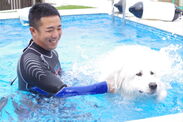 愛犬と一緒にプールで運動不足解消「ワンコと泳ごう」6月10日・11日開催＠岐阜県