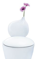 業界初！「花を生けられるトイレ」の輸入・販売を開始　まるでオブジェのような美しさでオシャレ空間を演出