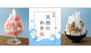 ～日本の夏の“儚き贅”天然氷のかき氷～“氷菓処　にじいろ”の四代目徳次郎のかき氷　日本各地で期間限定販売