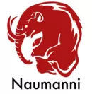 Naumanni(ナウマン) ロゴ