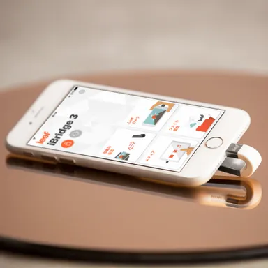 Leef iBRIDGE3 シルバーホワイト 07