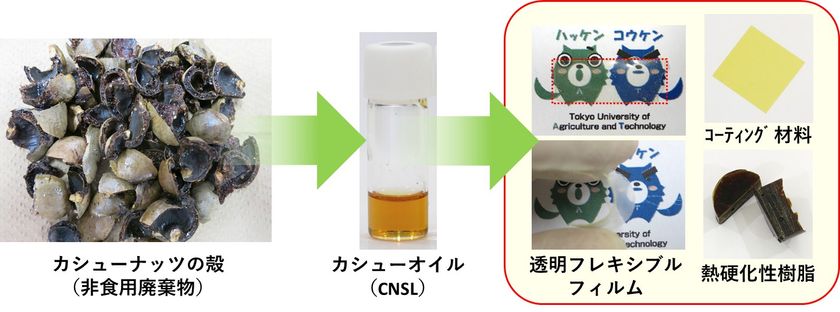 ナッツの殻から機能性材料の開発に成功
～植物由来の環境調和型グリーンプラスチックを開発～
