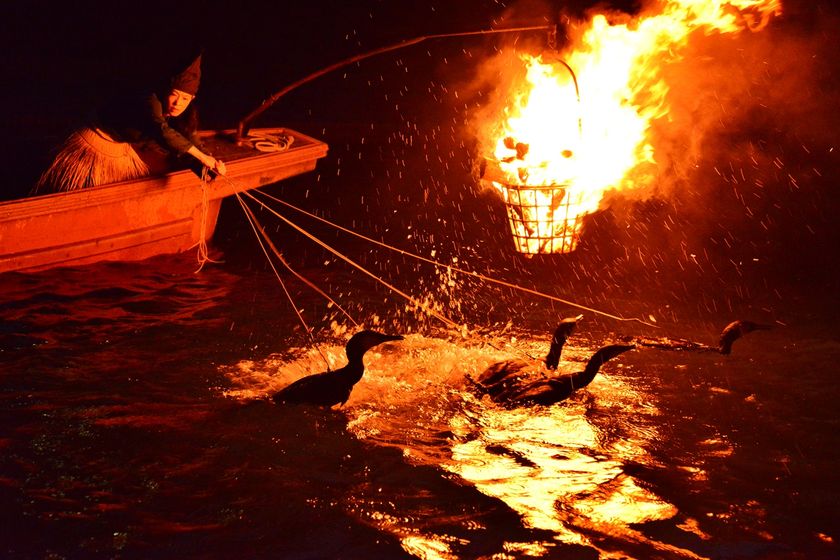 ６月１５日（木）京阪電車の京橋駅で
『鵜飼・宇治茶観光キャンペーン』を開催します