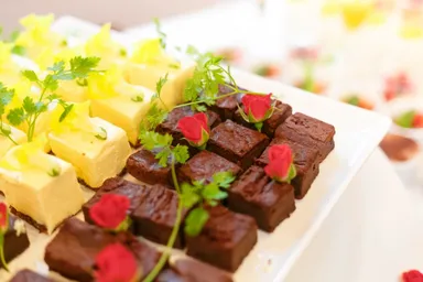 クラシカル舞踏会8