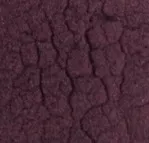 試験に使用された赤ワインエキス末