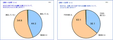 仕事ぶりと将来の不安