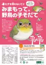 野鳥の子育て応援キャンペーンポスター