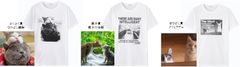 ・いやしネコ大賞フォトTシャツ 限定販売開始
