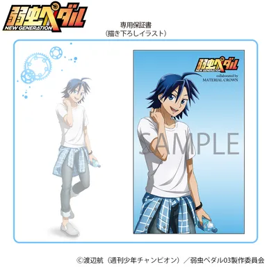 専用ギャランティーカード(真波山岳)