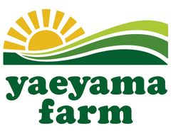 やえやまファーム、農業総合研究所との協業で石垣島農産物の
青果販路・集荷機能を強化し、農産物集荷場を6月22日に開設