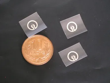 個別タグの写真