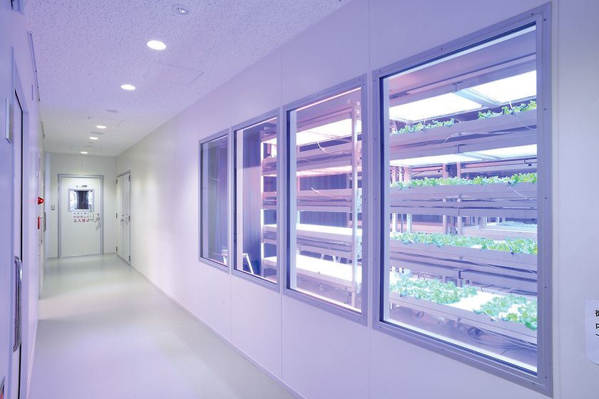 明治大学植物工場基盤技術研究センター
「植物工場でやさいを育ててみよう～体験型学習講座～」