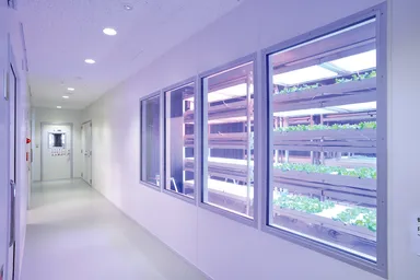 植物工場でやさいを育ててみよう～体験型学習講座～