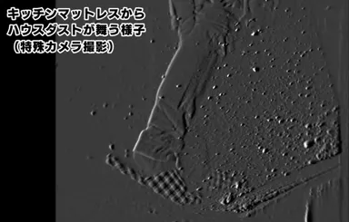 【ハウスダスト キッチン編】特殊カメラ撮影